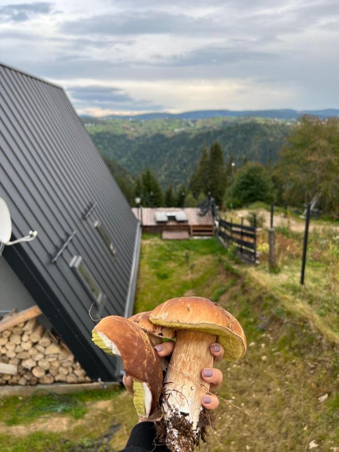Nordik Cabin - Aframe With 2 Bedrooms Mărişel Exteriör bild